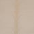 Traditional Sample - Schumacher Acanthus Stripe Velvet Fabric In Mistral Sand For Sale - Image 3 of 5