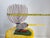 Marvin Finn Kentucky Folk Art Sculpture For Sale - Image 16 of 18