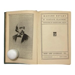 Madame Bovary - Gustave Flaubert - Modern Library Edition