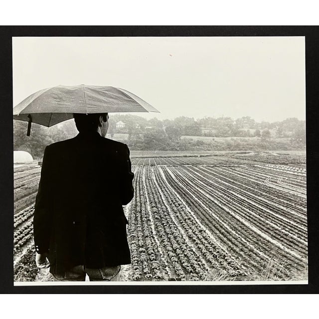 Traditional 1970s France Landscape Photograph by Gene Dixon For Sale - Image 3 of 3