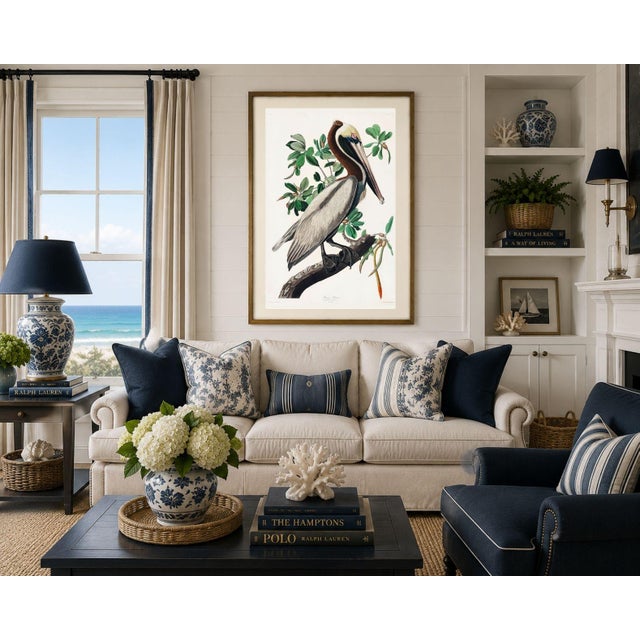 Brown Pelican by Audubon, Vintage Art Print Reproduction, 16" X 24" For Sale - Image 12 of 13