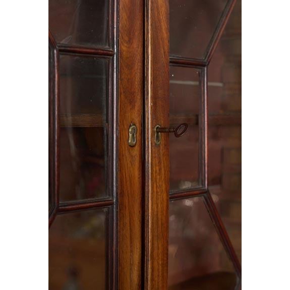 Early 19th Century Astral Glazed Burl Mahogany Bureau Bookcase For Sale - Image 10 of 14