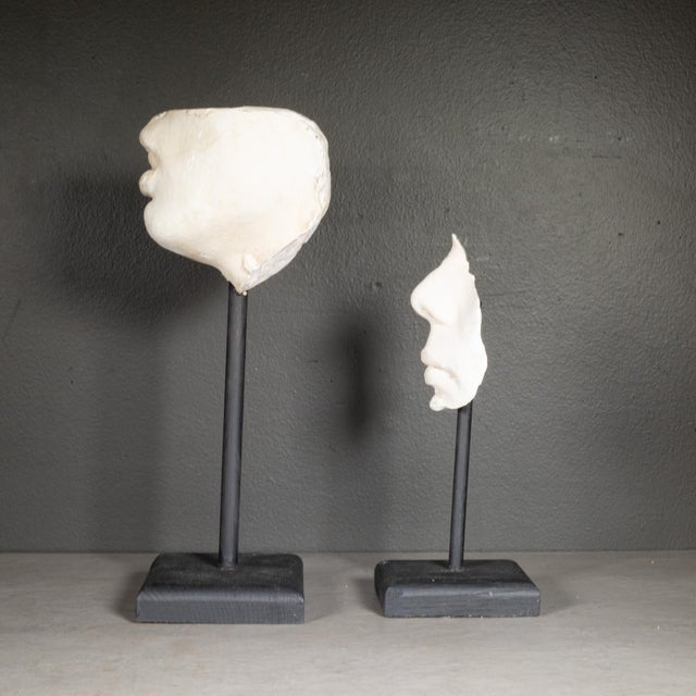 ABOUT Plaster cast nose and mouth sculptures mounted on black, wooden stands. Shown with life size hand model for scale....