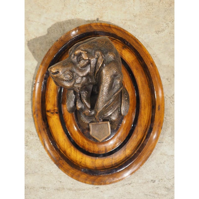 French A Signed Antique French Medallion Bronze Bust of the St. Hubert Hound (1851-1925) For Sale - Image 3 of 15