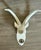Vintage Faux Taxidermy White Goat Head Wall Mount. No makers mark visible. This piece was acquired at an estate auction in...