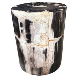 Andrianna Shamaris Exquisite Ancient Petrified Wood Side Table For Sale