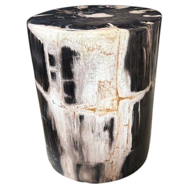 Andrianna Shamaris Exquisite Ancient Petrified Wood Side Table For Sale
