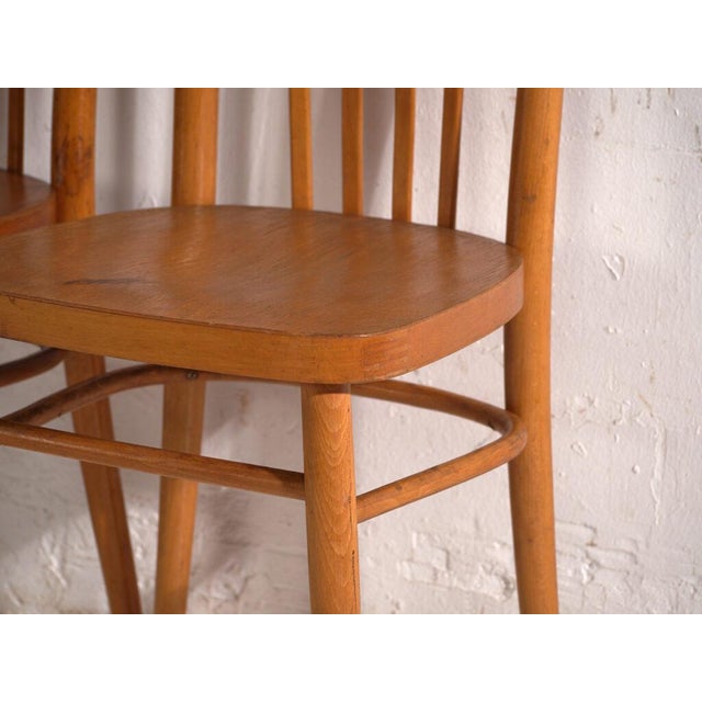 Brown Bentwood Chairs by Michael Thonet for Ton, Former Czechoslovakia, 1960, Set of 2 For Sale - Image 8 of 13