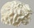 Large Natural Ruffled Foliose Coral Skeleton Specimen 12" Coastal Decor For Sale - Image 4 of 6