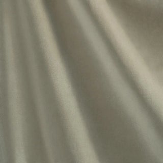 Schumacher Rocky Performance Velvet Fabric In Sage For Sale