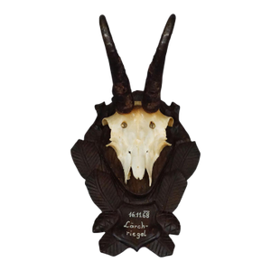 Vintage Black Forest Chamois Trophy on Carved Plaque 1968