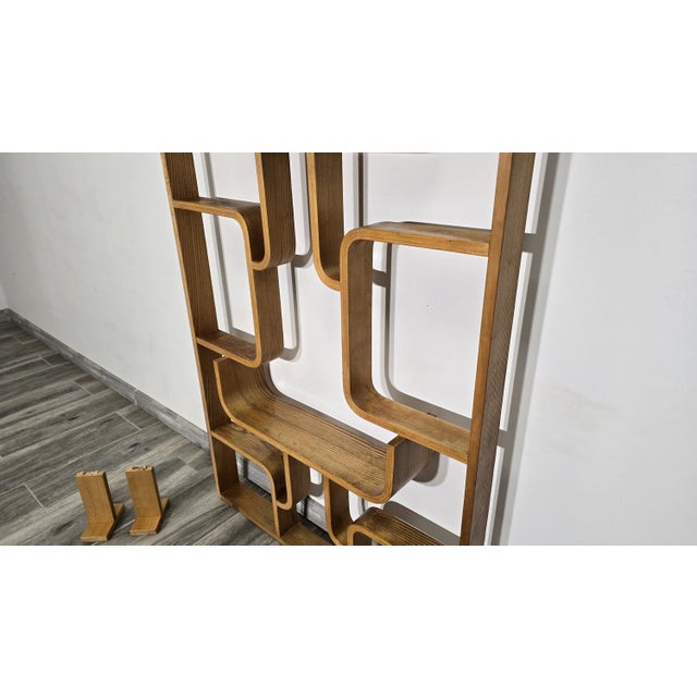 Room Divider by Ludvik Volak for Drevopodnik Holesov, 1950s For Sale - Image 18 of 18