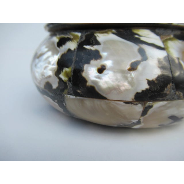 Boho Chic Turbo Topped,Twisted Sea Shell & Wood Lidded Decorative Keepsake Box For Sale - Image 9 of 13