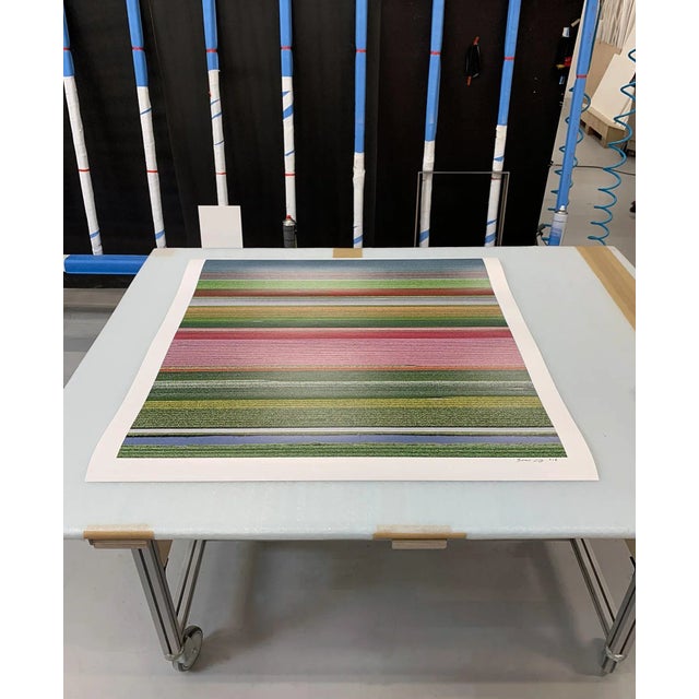 "AV_Tulip_Fileds_014" Contemporary Limited Edition Fine Art Photograph Print by Bernhard Lang For Sale - Image 6 of 10