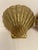 Pair Brass Seashell Scallop Bookends