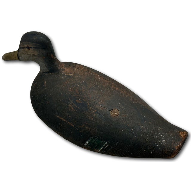 Unusually Large Size Antique American Carved Wood Hand Painted Duck Hunters Decoy From Downeast Coastal Maine - 22 Inches Long For Sale - Image 9 of 18
