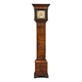 Burr Walnut Grandaughter Longcase Clock, 1920s For Sale