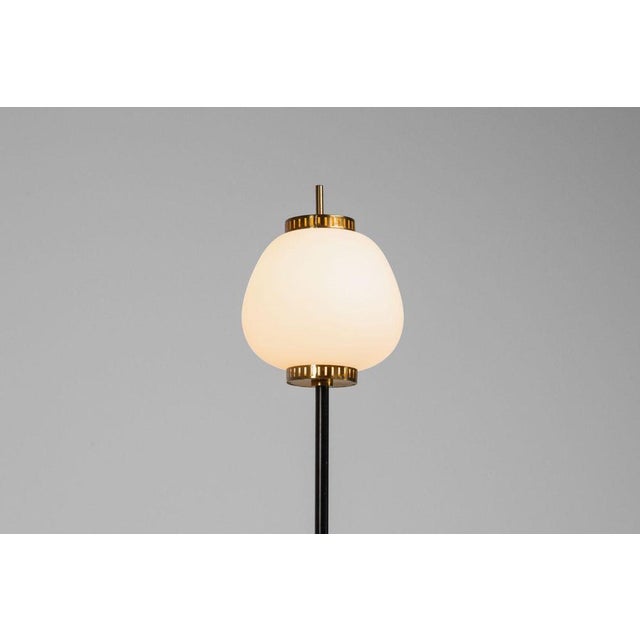 Stilnovo Standard Floor Lamp by Bruno Gatta for Stilnovo, 1951 For Sale - Image 4 of 15