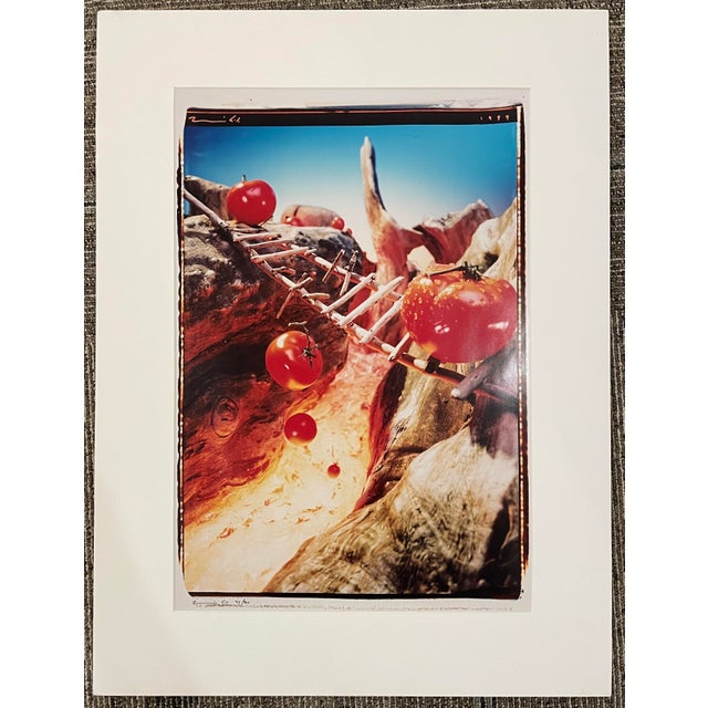 1999 color photograph of adventurous tomatoes in a landscape, signed illegibly and numbered 20 of 200. Color photo on...