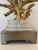 Hollywood Regency Gilt Gold Coral Table Lamp With Black Shade For Sale In Dallas - Image 6 of 9