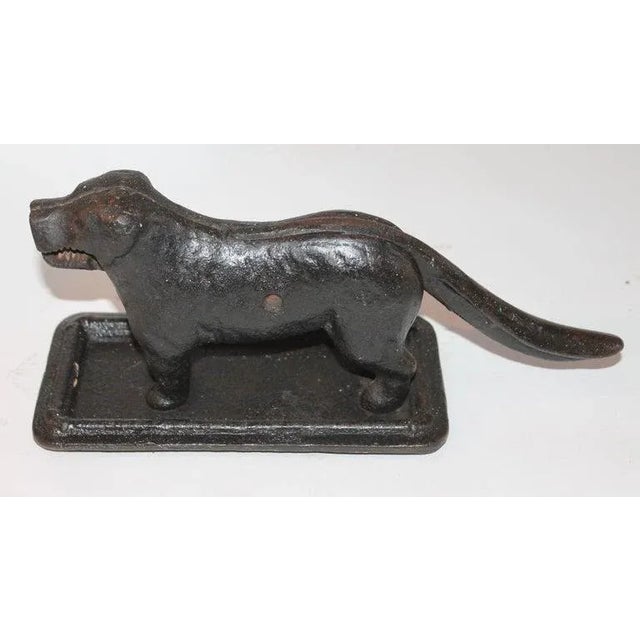 Black painted cast iron dog nut cracker. The condition is very good and in working order.