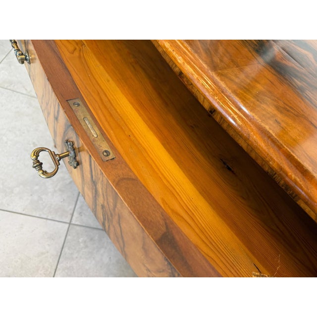Biedermeier Walnut Veneered Chest of Drawers For Sale - Image 9 of 15