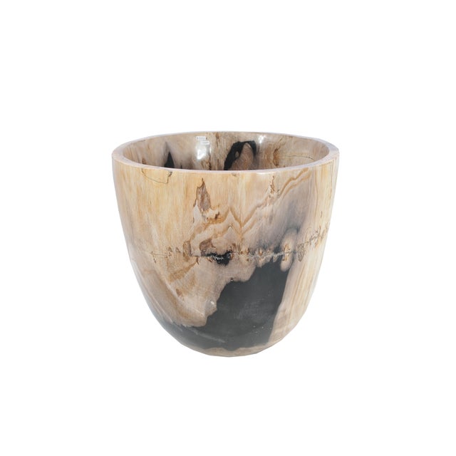 Petrified Wood Plant Pot by Xyleia Petrified Wood For Sale - Image 6 of 6
