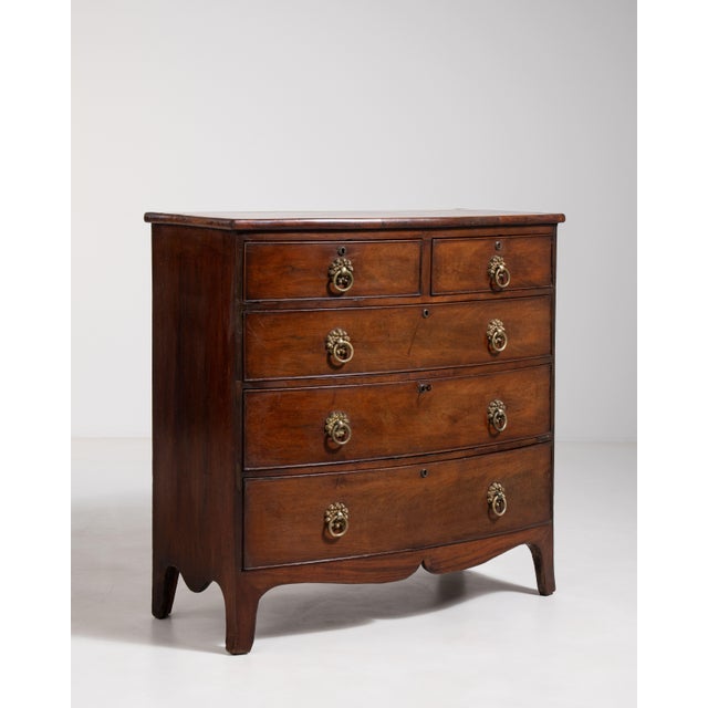 Regency Bow-Front Mahogany Chest of Drawers, Antique, United Kingdom, 19th Century For Sale - Image 11 of 15