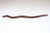 Folk Art hand-carved rosewood snake (ca. 1940s, USA). Attractive two-tone rosewood variations (rich brown tones throughout...