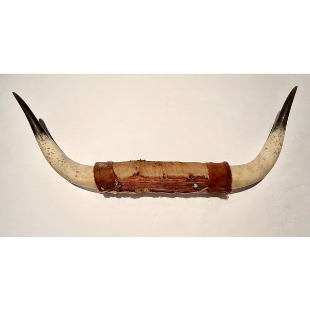 Rustic Vintage Hide Wrapped set of steer horns. Mounted together on a piece of wood. Hooks present on backside for wall...