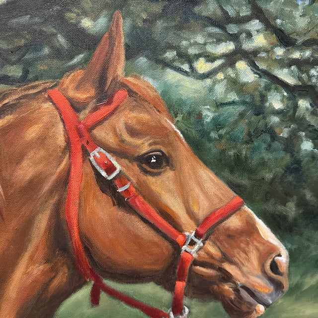 Gorgeous oil of horse with bright red halter. 16” x 20” oil on canvas. 25 1/4 x 21 1/4 outs silver of French silver...
