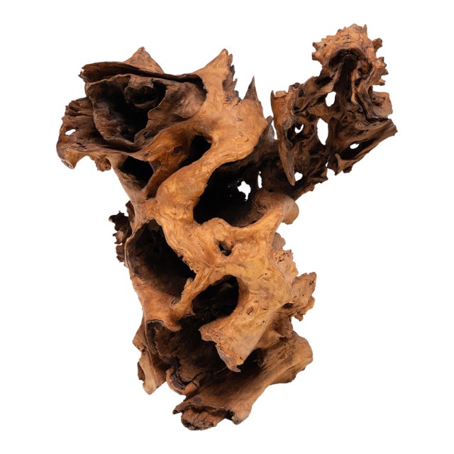 Heartwood Grotto Burl Sculpture For Sale