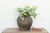 Featuring a beautifully weathered gray finish, this large vintage pottery vase stands out with its rounded silhouette and...