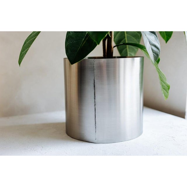 Gold Large Loto Planter in Stainless Steel by Form & Eisen For Sale - Image 8 of 18