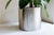 Gold Large Loto Planter in Stainless Steel by Form & Eisen For Sale - Image 8 of 18