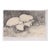 Ground Fungus 20th Century Graphite Drawing For Sale