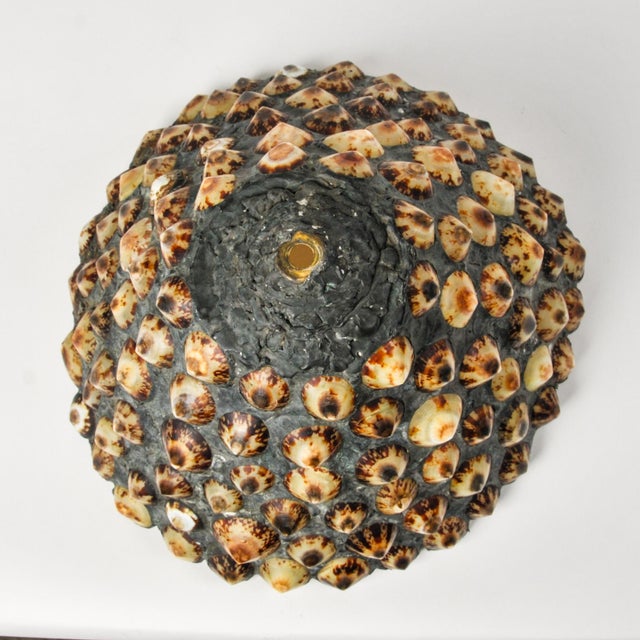 Metal Antique Cherub Table Lamp With Handmade Limpet Shell Lampshade in the Style of Richard Hoosin For Sale - Image 7 of 14