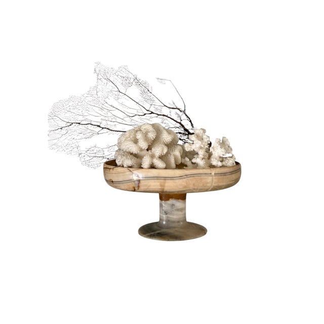 1970s Vintage Banded Onyx Pedestal Compote or Central Bowl For Sale - Image 5 of 7