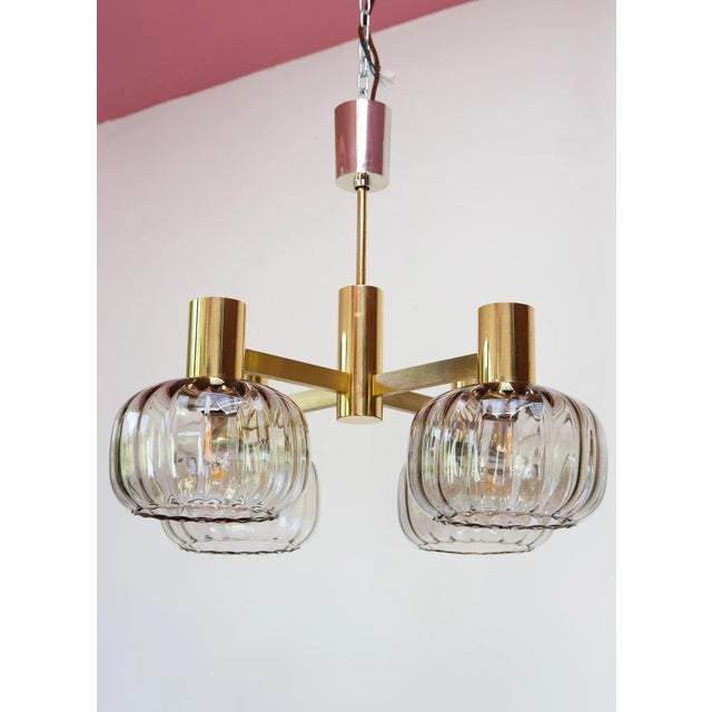 Mid-Century Brass Pendant Light with Glass Tulips, 1960s For Sale - Image 9 of 9