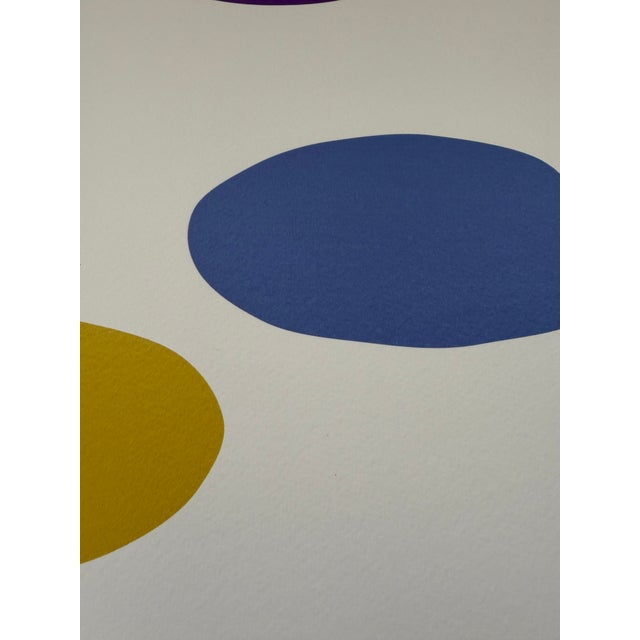 Paper Anne Montiel, Untitled, 2008, Print For Sale - Image 7 of 12