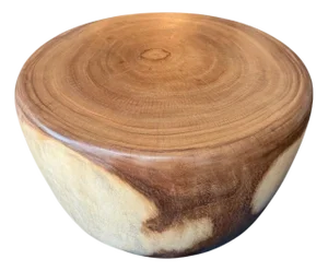 Andrianna Shamaris Drum Shape Suar Wood Coffee Table