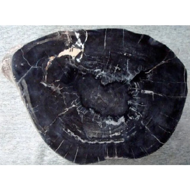 Modern Organic Petrified Wood Stump #725 (Mahogany) - Supellex For Sale - Image 3 of 4