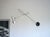 Mid-Century Modern Vintage Model 213 Wall Lamp by Gino Sarfatti for Arteluce, 1956 For Sale - Image 3 of 18