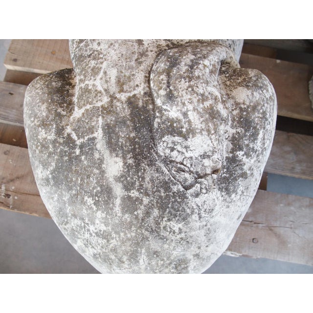 Pair of Recumbent Reconstituted Stone Garden Lions From Belgium, Circa 1960 For Sale - Image 11 of 12