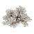 Exceptional Natural Brown Stem Coral Specimen For Sale