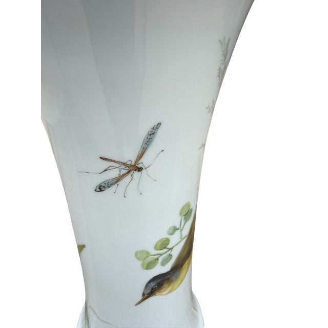 Antique Meissen Hand Painted Bird & Butterfly Porcelain Trumpet Vase 9.5" For Sale - Image 14 of 16