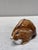 French Majolica Rabbit Money Bank Circa 1900 For Sale - Image 4 of 7