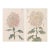 Whispering Petals Diptych – Vintage Japanese Botanical Prints (Set of 2), 36" X 54" For Sale