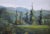 Quiet Places & Journeys — Jackson Rancheria Forest Original oil painting by Haas, 12 x 24 unframed masonite, signed. A...