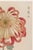 Japanese Red Chrysanthemum by Hasegawa, Vintage Japanese Botanical Art Print, 8" X 12" For Sale - Image 3 of 8